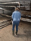 ул. Вокзальная дезинсекция МКД